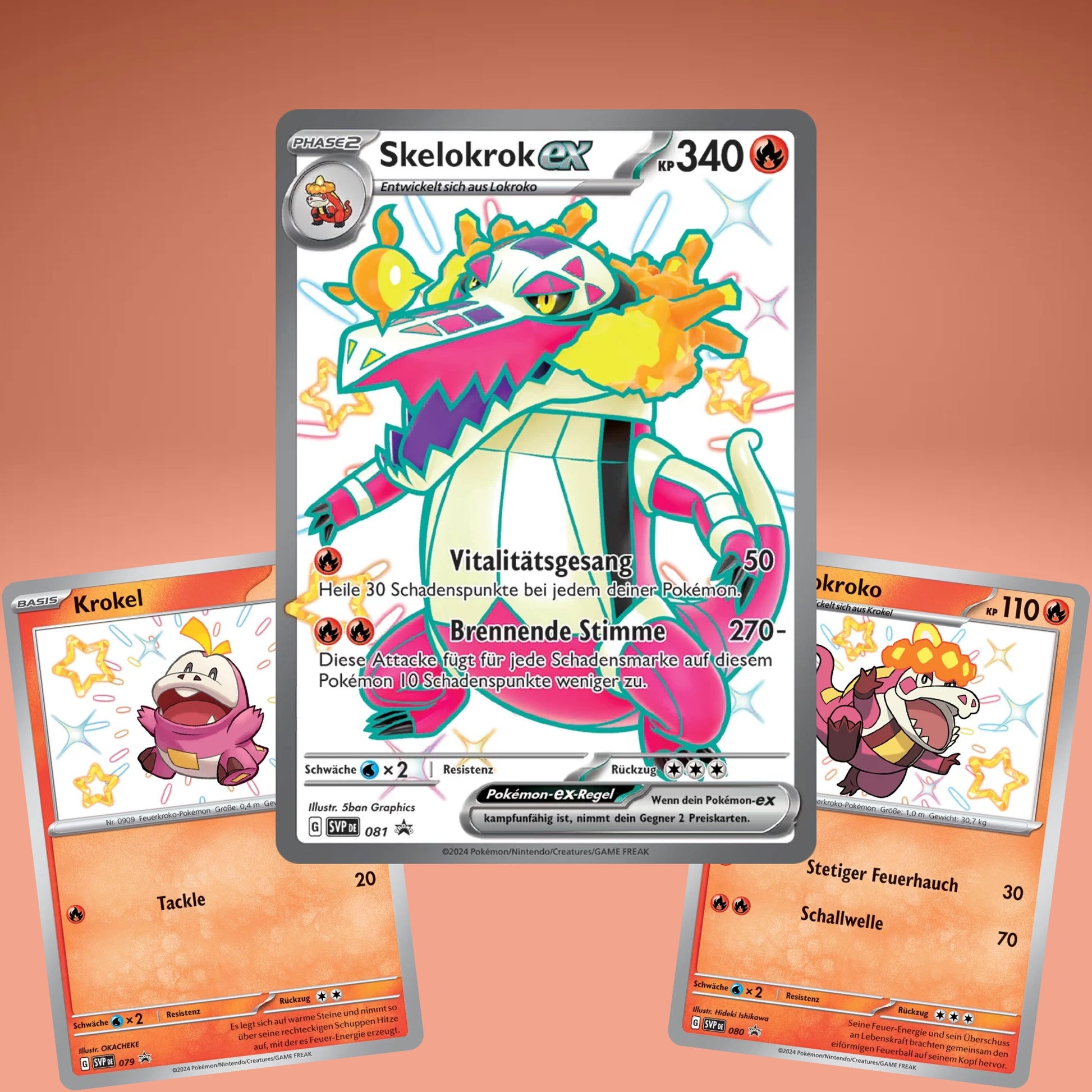 Paldean Fates - Premium Collection | Pokemon TCG Paldean Fates - Premium Collection | Pokemon TCG